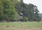 VWG vogelreis Oost Duitsland mei 2010 538 : VWG vogelreis Oost Duitsland mei 2010, m.klingers